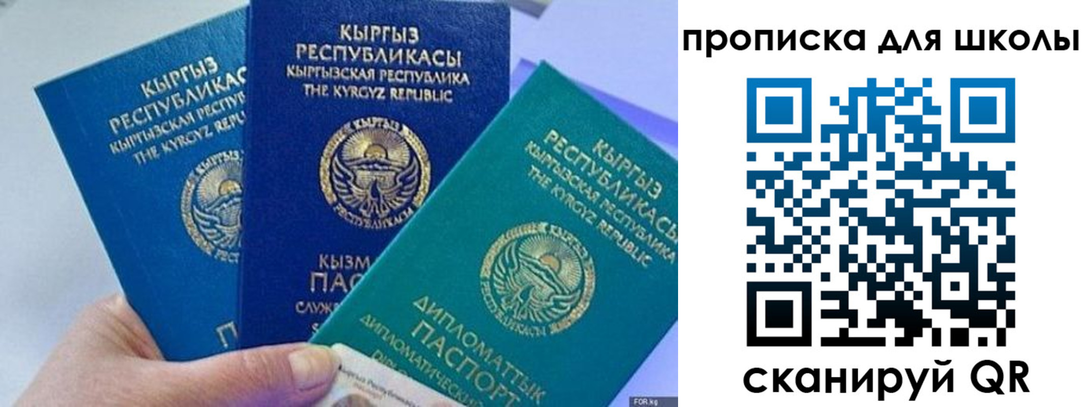 прописка регистрация в Балтийске